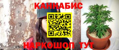 прущие грибы Первоуральск