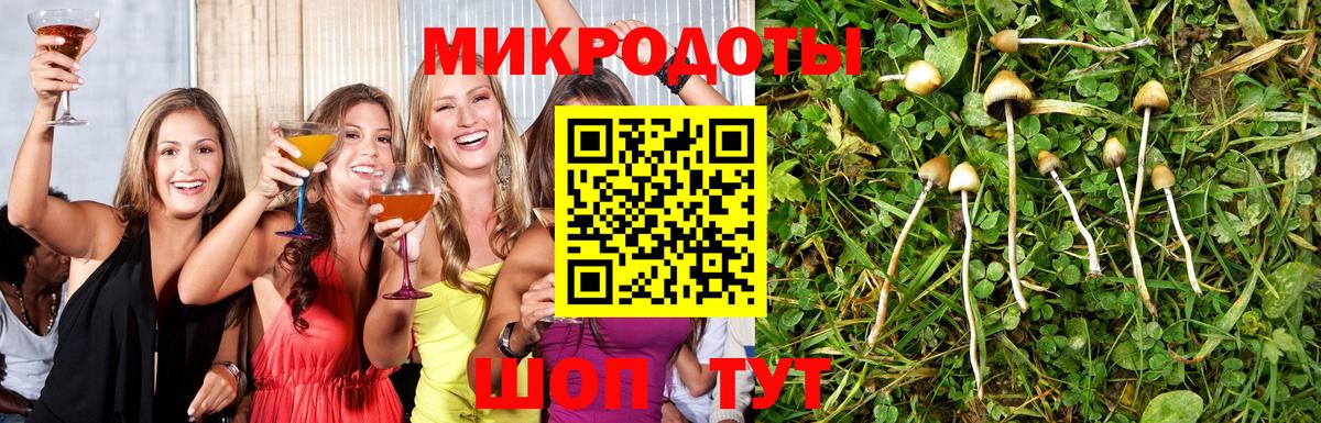 Псилоцибиновые грибы ЛСД Серпухов